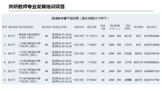 迈向成功之路，精选资料解析大全与免费公开资源之旅