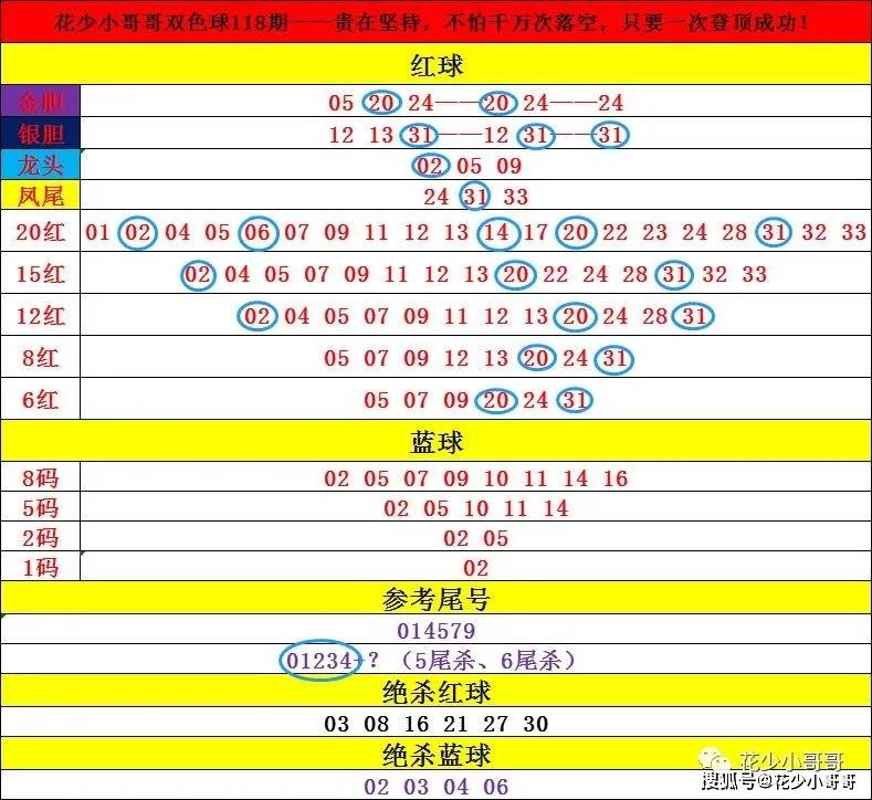 澳码494949今晚开奖精选资料解析大全