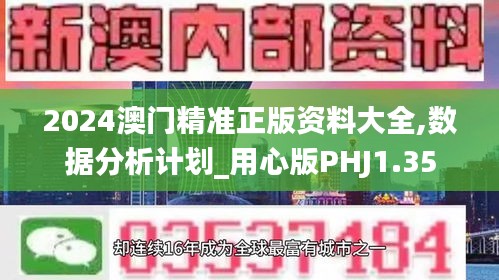 澳门精准正版资料解析大全，探索与解析（2024版）