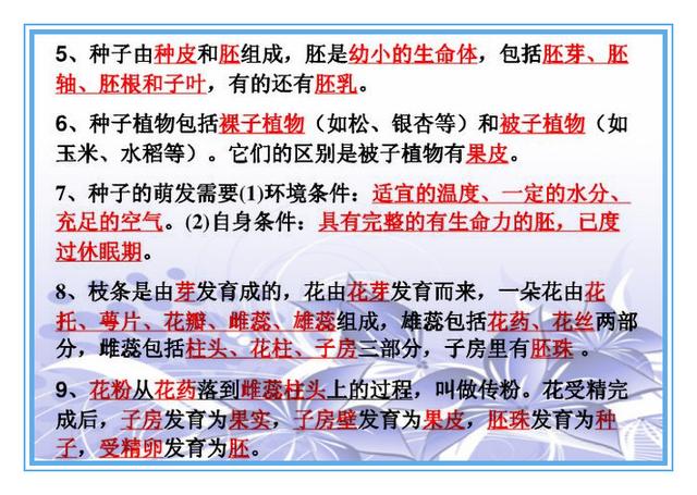 天天好采免费资料大全与精选资料解析大全，探索知识的宝库