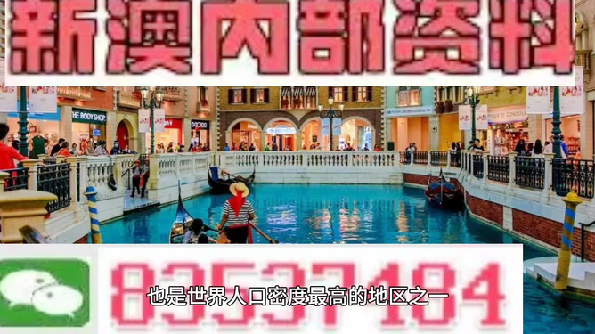 新澳门今晚精准一肖,新澳门今晚精准一肖，探索生肖预测的魅力与真相