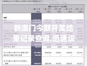 新澳历史开奖记录查询结果,新澳历史开奖记录查询结果深度解析