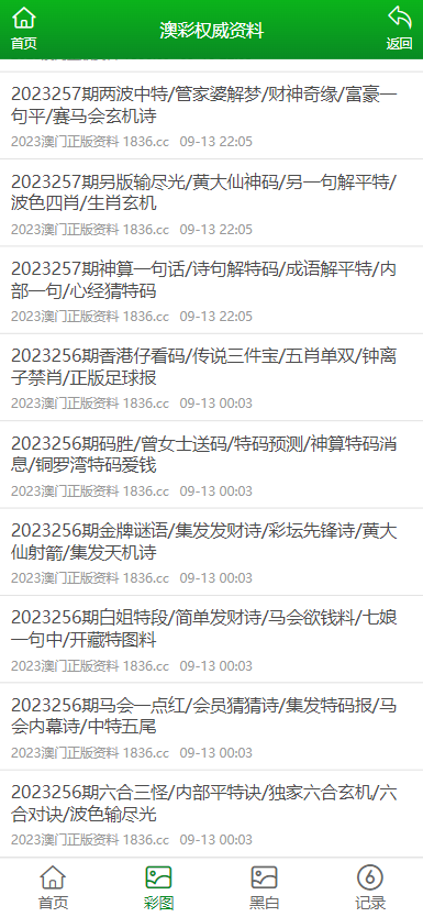 2025澳门资料大全正新版,澳门资料大全，探索2025年新版之魅力