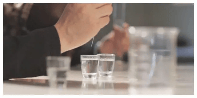 管家婆一码一肖,揭秘管家婆一码一肖，背后的秘密与真相探索