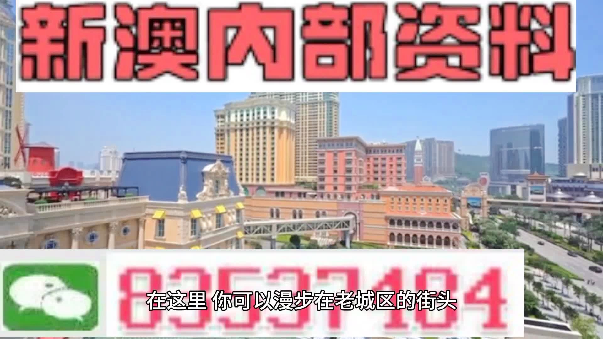 新澳门三码中特,新澳门三码中特的探索与理解