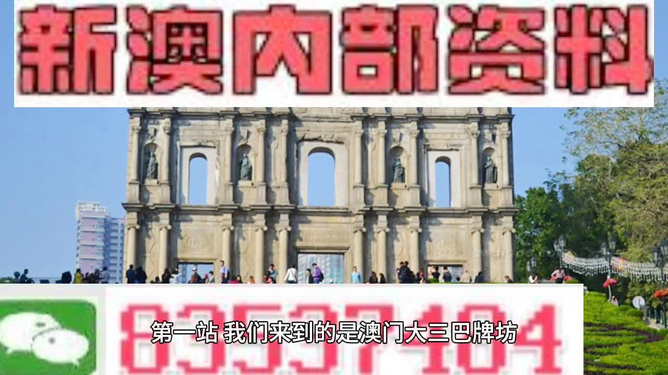2025新澳免费资料澳门钱庄,探索澳门钱庄，新澳免费资料的未来展望（2025展望）
