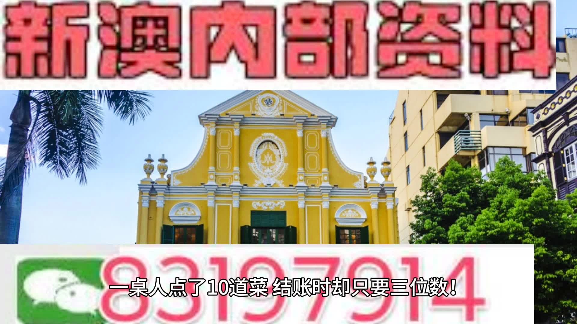 新奥门资料免费资料,新澳门资料免费资料，探索与理解