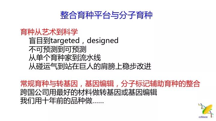 新澳精选资料免费提供,新澳精选资料，助力学术研究与个人成长的宝贵资源免费提供