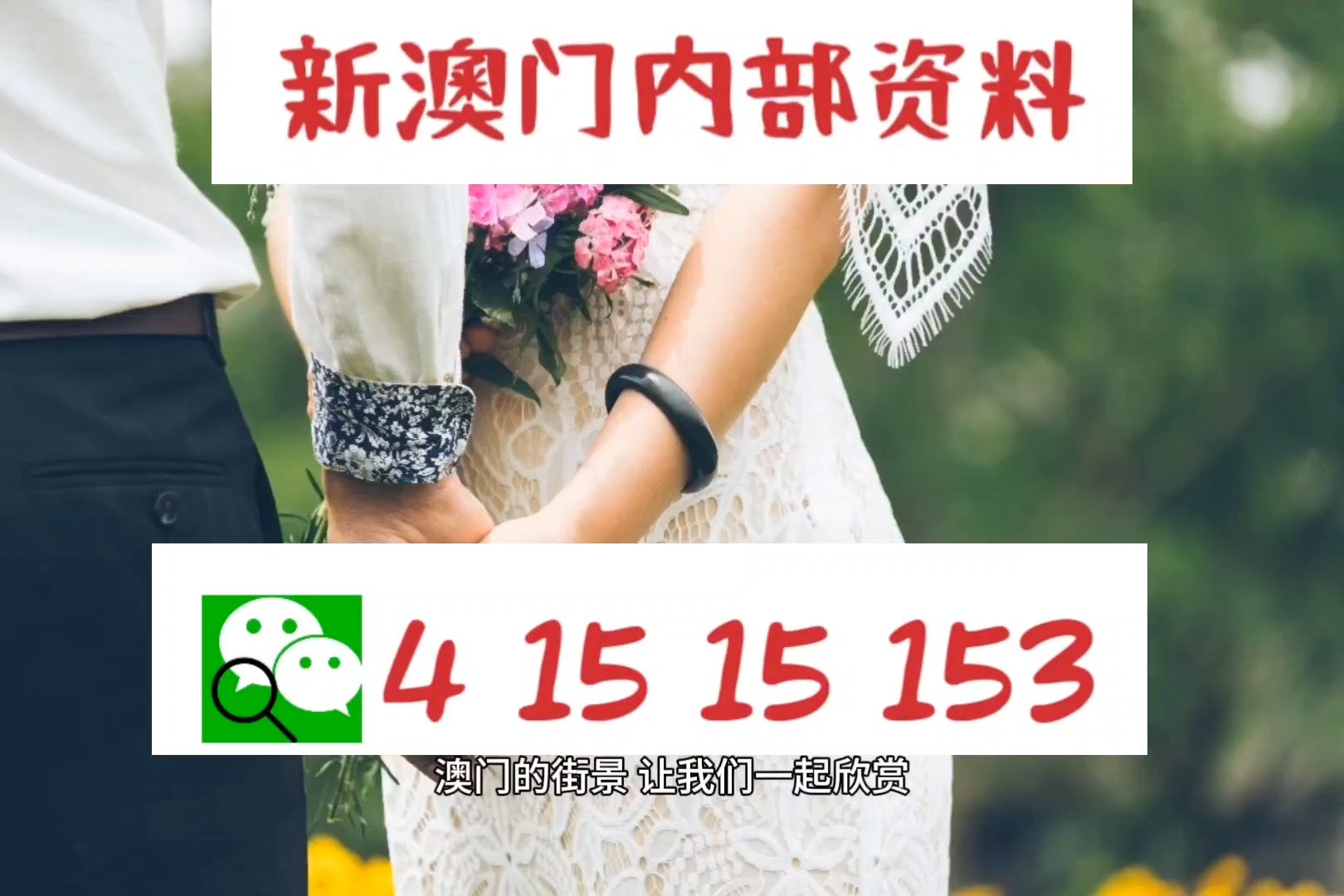 澳门四不像精解图2025,澳门四不像精解图2025，探索神秘的面貌与未来展望